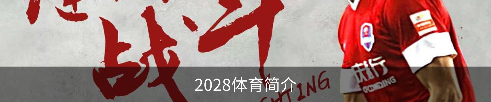 2028体育简介